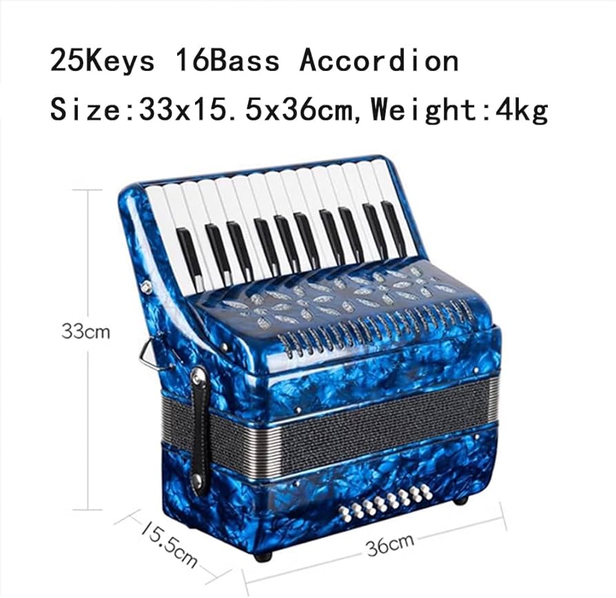 Amazon.co.jp: BailingDS アコーディオン 25キー 16ベース