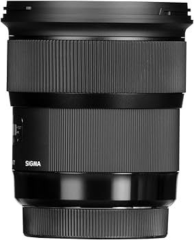 Amazon.com : Sigma 24mm f/1.4 DG HSM Art Lens for Canon EF