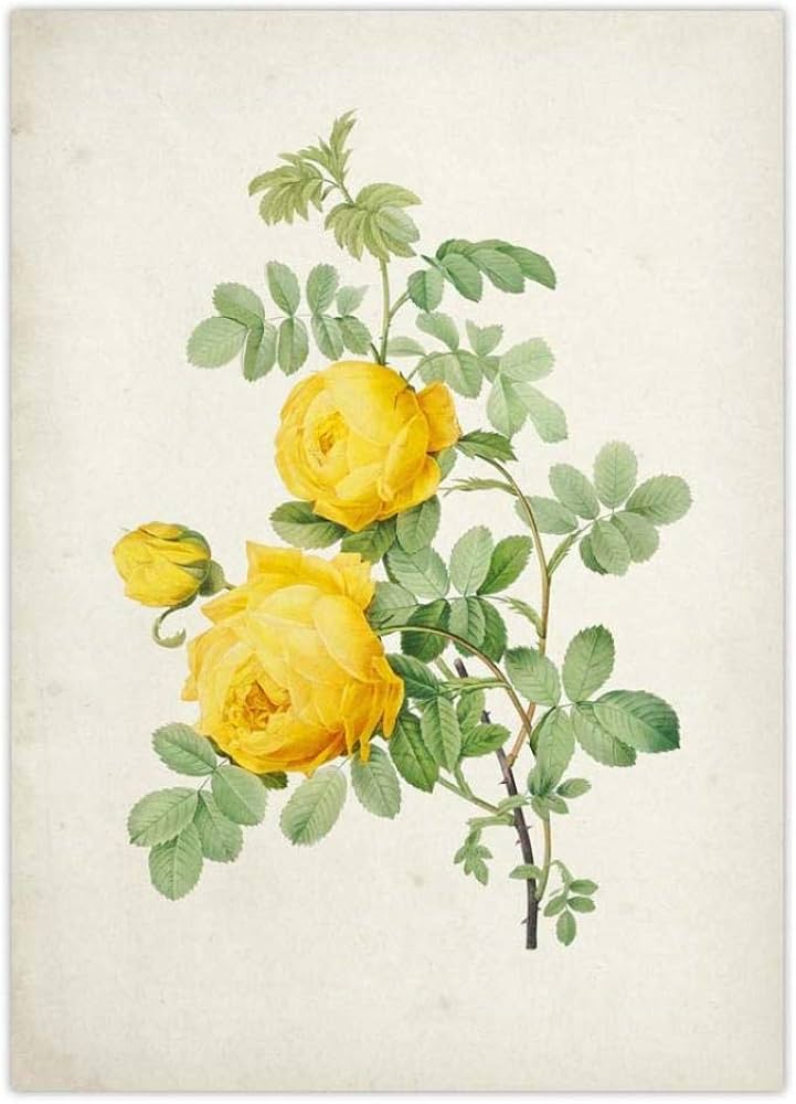 61LNsBI173L._AC_UF894,