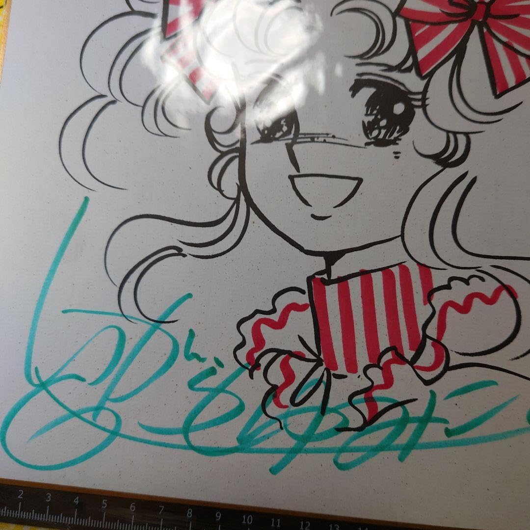 Amazon.co.jp: キャンディキャンディ いがらしゆみこ サイン色紙 東映