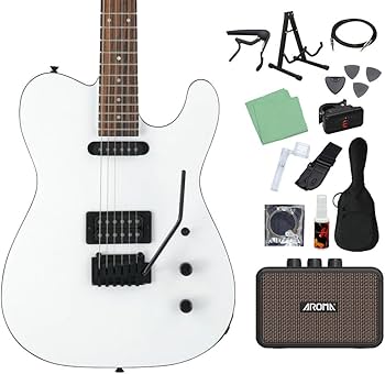 Amazon | FERNANDES TEJ-STD SH SW エレキギター初心者14点セット