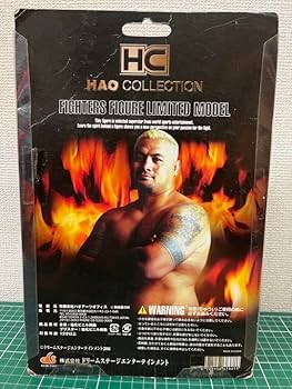 Amazon.co.jp: マークハント HAO フィギア K-1 PRIDE プライド UFC
