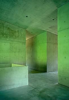 Amazon | Built | Olgiati, Valerio | Individual Architects & Firms