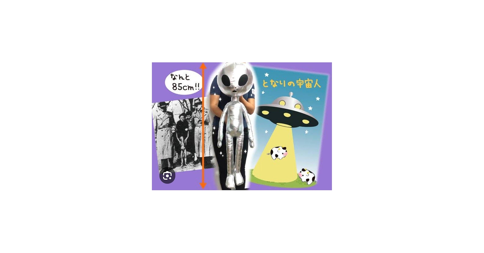 Amazon.co.jp: となりの宇宙人 ぬいぐるみ シルバー BIGぬいぐるみ