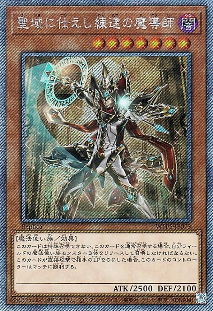 Amazon.co.jp: 遊戯王カード 聖域に仕えし練達の魔導師(エクストラ
