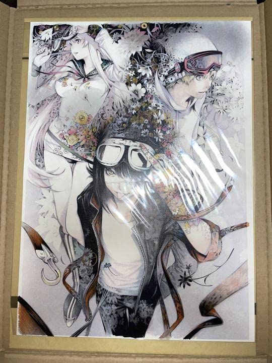 Amazon.co.jp: 正規品『エアギア』 カラーイラスト複製原画セット