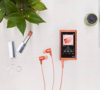 Amazon | ソニー ウォークマン Aシリーズ 16GB NW-A55HN : MP3