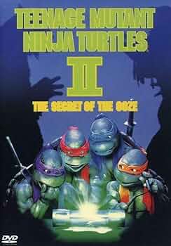 Amazon.com: Teenage Mutant Ninja Turtles 2 (DVD) (25th Anniv. O