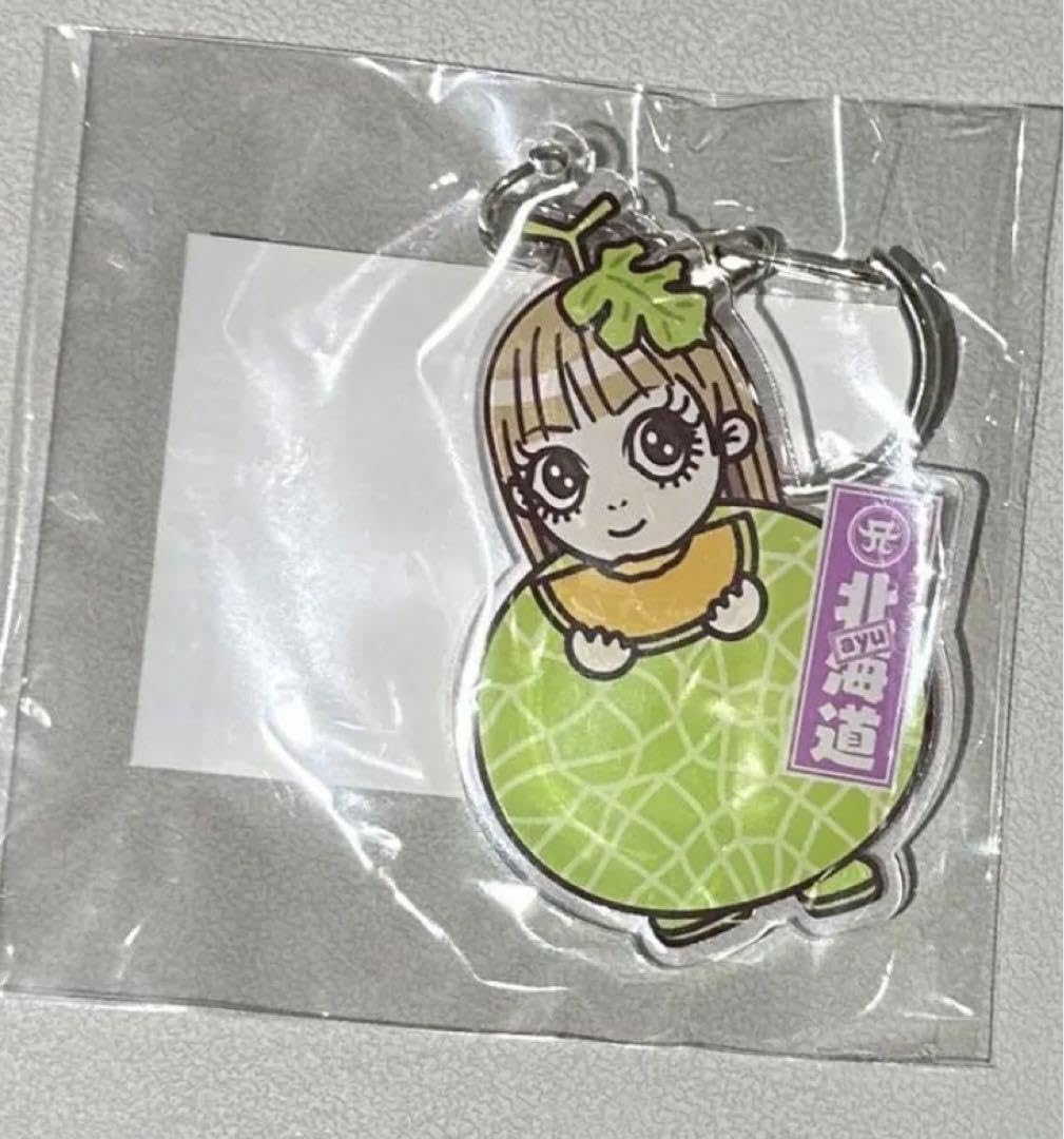 Amazon.co.jp: 浜崎あゆみ 北海道 ラゲッジタグ アクリルキーホルダー