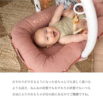 Amazon.co.jp: DockATot(ドッカトット) Deluxe+ トイバンドル