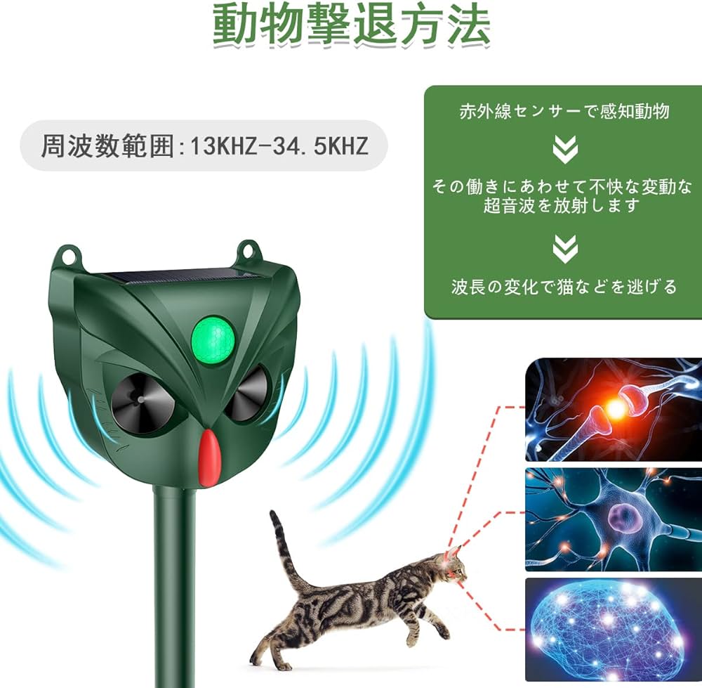 猫様確認用 猫様 確認用 猫猫 カード検索 ｜ Z/X - Zillions