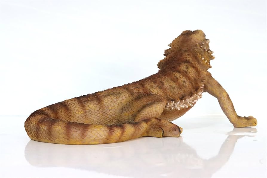 Amazon.co.jp: BACALYSO | 1/1 サイズ フトアゴヒゲトカゲ 36cm級