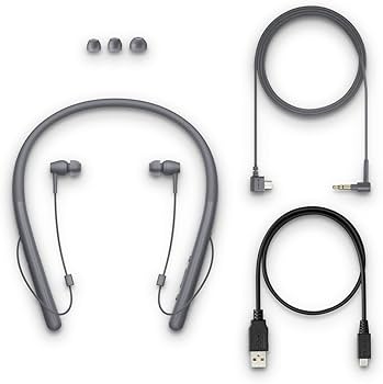 Amazon.co.jp: ソニー ワイヤレスイヤホン h.ear in 2 Wireless WI