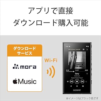 Amazon.co.jp: ソニー ウォークマン 16GB Aシリーズ NW-A105HN