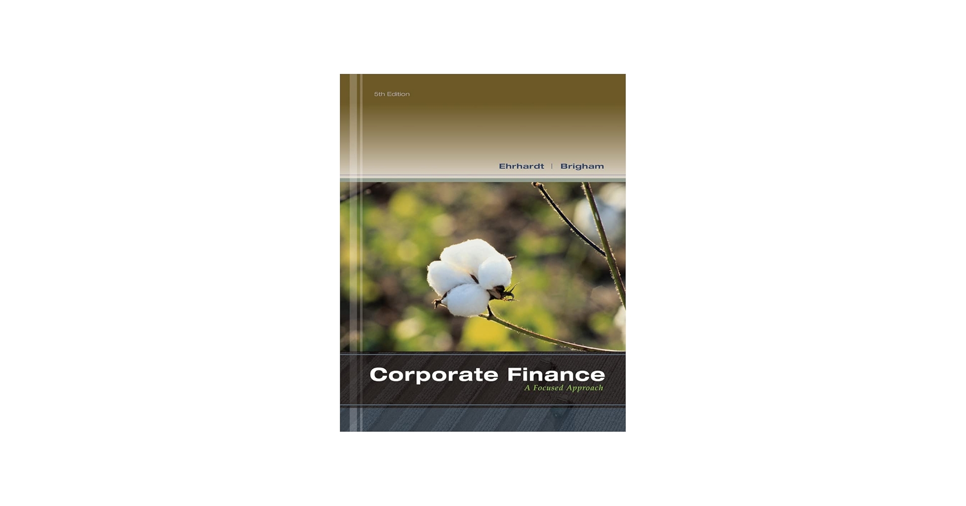 Corporate Finance: A Focused Approach (with Thomson ONE - Business
