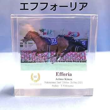 61Npi0s7LGL._AC_UF350,