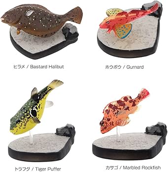 Amazon.co.jp: カロラータ 海水魚 立体図鑑 (15種 / スタンド・解説書