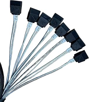 Amazon.com: DiliVing 𝐃𝐢𝐋𝐢𝐧𝐤𝐞𝐫 𝐒𝐥𝐢𝐦𝐒𝐀𝐒 X8 to 8