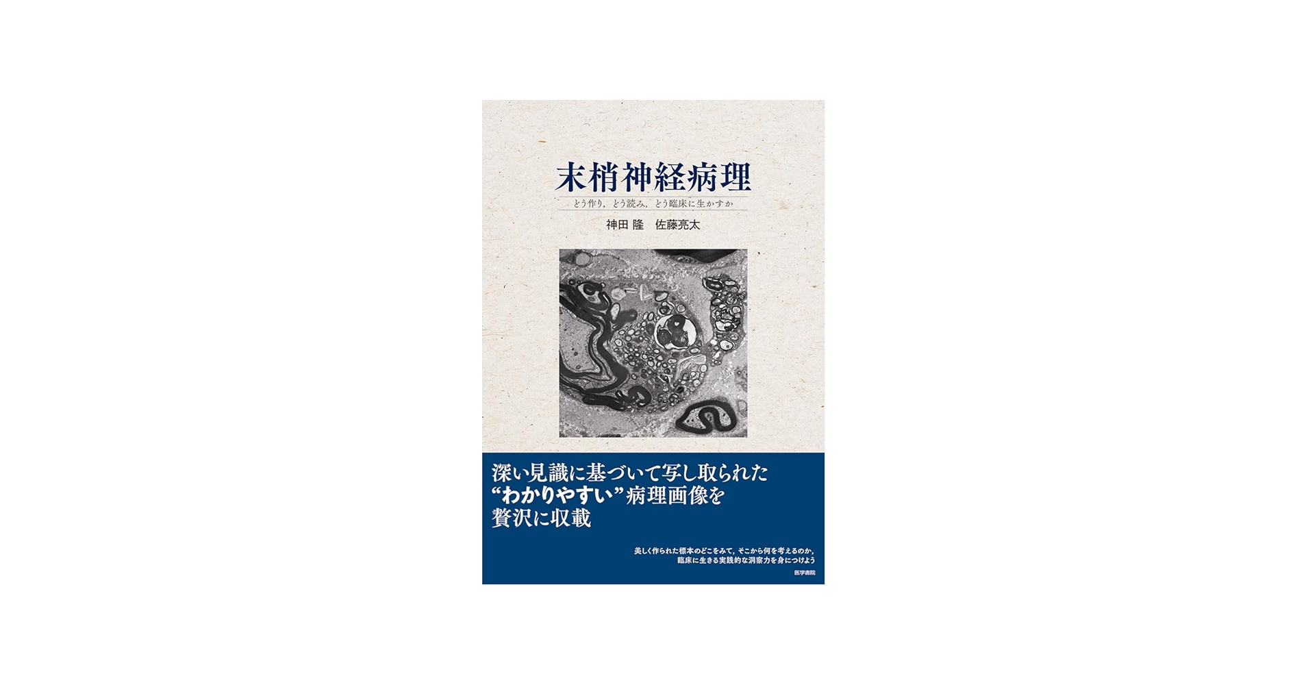 末梢神経病理：どう作り、どう読み、どう臨床に生かすか | 神田隆
