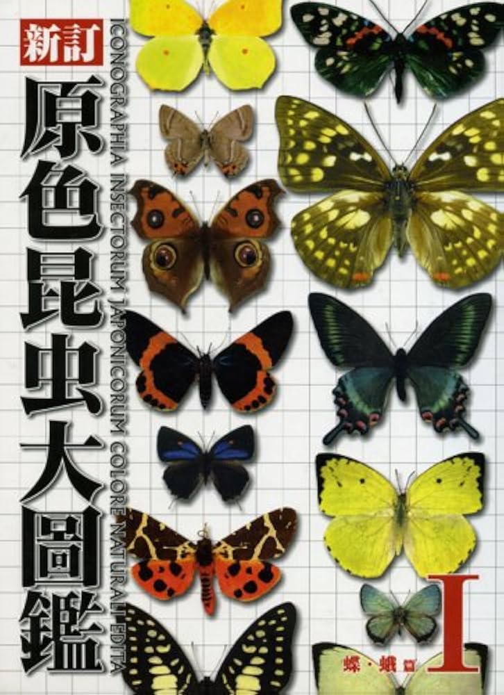 原色昆虫大圖鑑 第1巻 蝶・蛾篇 新訂版 |本 | 通販 | Amazon