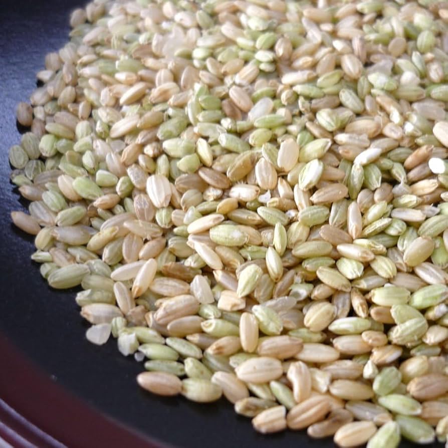 Amazon | 青米・小米・くず米 5キロ／鳥の餌、飼料用、鳥のエサ、肥料