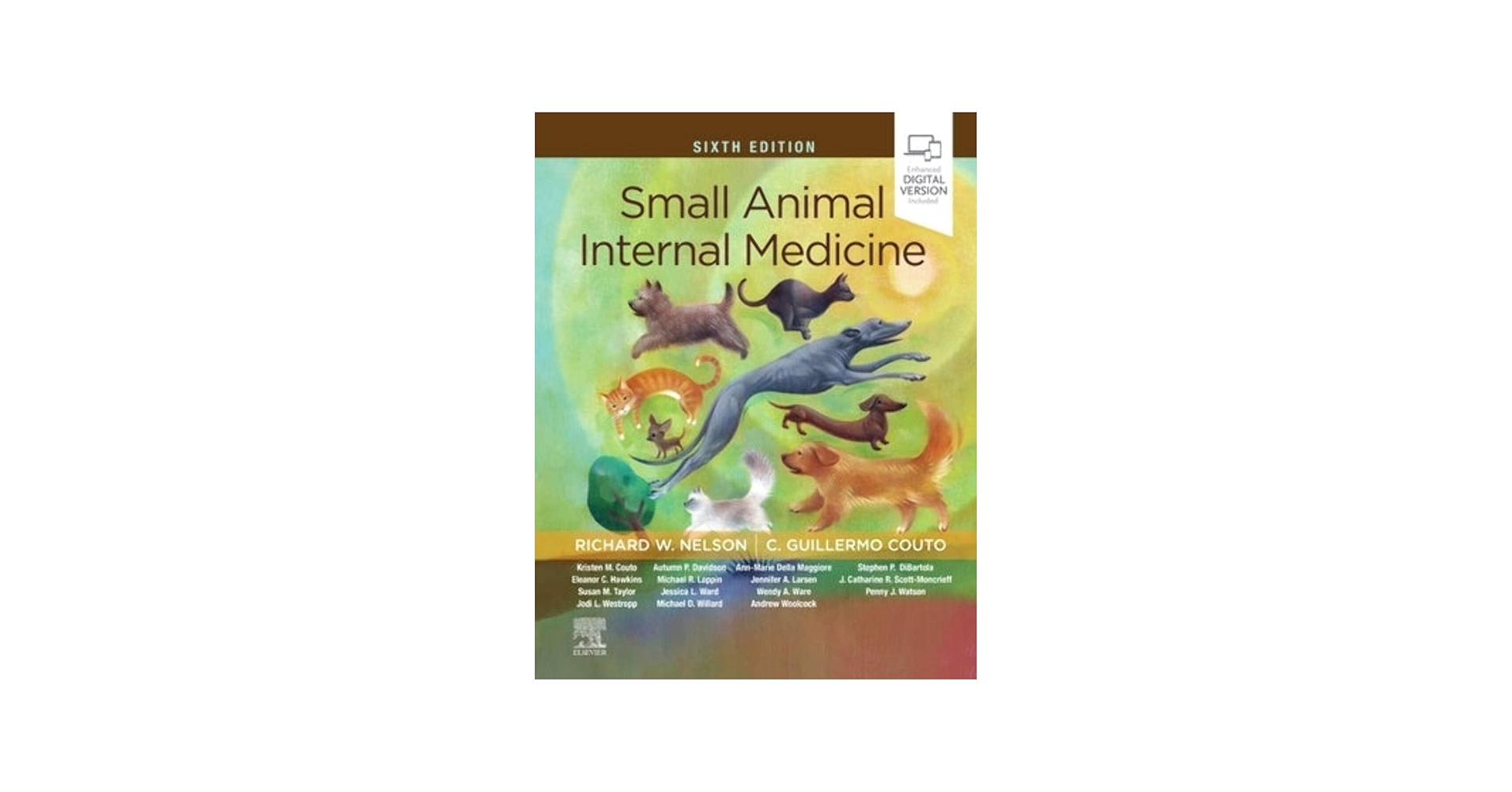 Small Animal Internal Medicine: 9780323570145: Medicine & Health