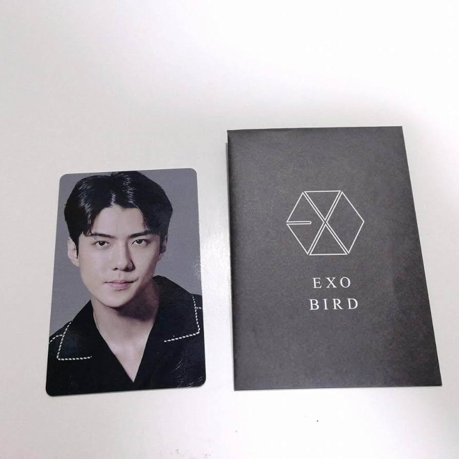 Amazon.co.jp: EXO Bird FC限定盤 セフン トレカ SEHUN : おもちゃ