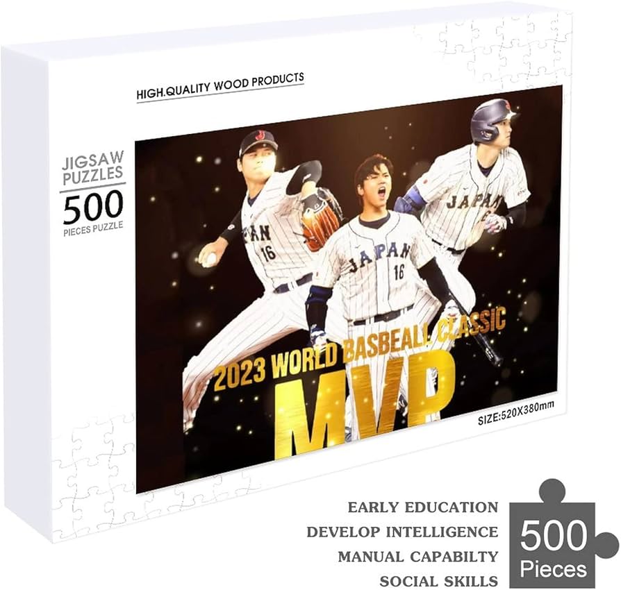 61P4ox+hGnL._AC_UF894,