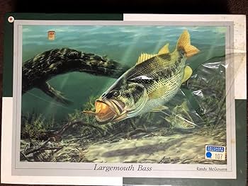 Amazon | ブラックバス black bass ジグソーパズル 1000ピース Randy