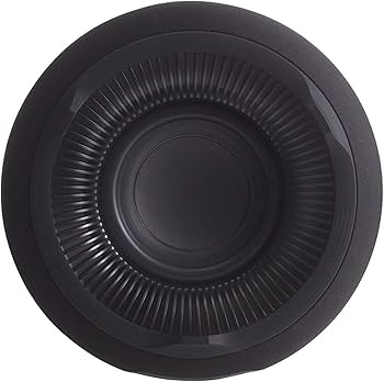 Amazon.com: Harman Kardon Aura Studio 3 - Elegant, BT Wireless