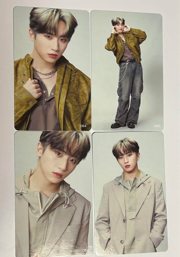 Amazon.co.jp: INI 許豊凡 フェンファン トレカ コンプ : おもちゃ