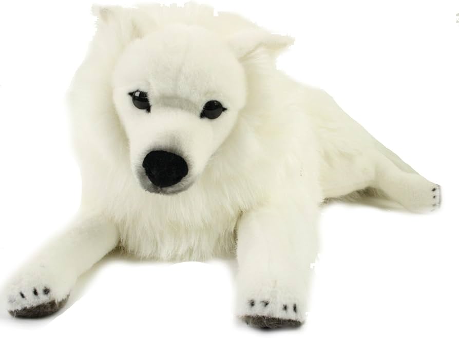 Amazon.co.jp: スピッツ 伏せ KOSEN(ケーセン社) 64cm Japanese Spitz