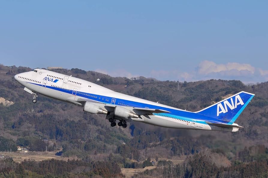 Amazon.co.jp: 飛行機 デジタル画像 ボーイング747 ジャンボジェット