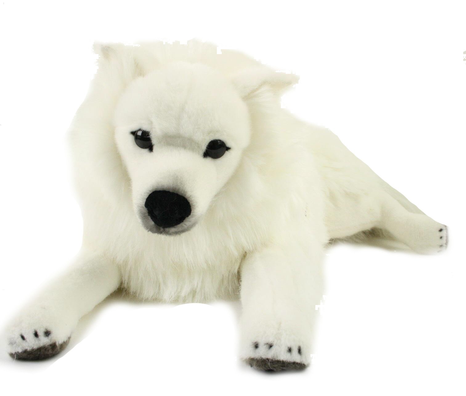 Amazon.co.jp: スピッツ 伏せ KOSEN(ケーセン社) 64cm Japanese Spitz
