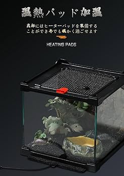 Amazon | 爬虫類 ケージ グラステラリウム 爬虫類 飼育ケース 大 昆虫