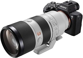 Amazon | SONY(ソニー) フルサイズミラーレス一眼 α7RM3 ボディ ILCE