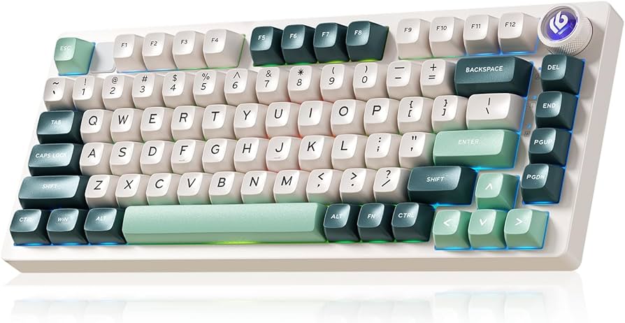 Amazon.com: LEOBOG HI75C Pro Gaming Keyboard, RGB Backlit