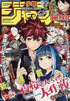 61PrjcHMmWL._AC_UF350,