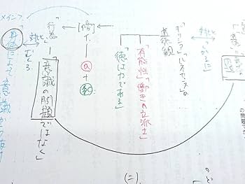 Amazon.co.jp: 東進 林修先生 東大現代文2010～2019年 板書解説 東大