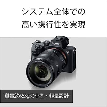 Amazon.co.jp: SONY(ソニー) 標準ズームレンズ フルサイズ FE 24-105mm