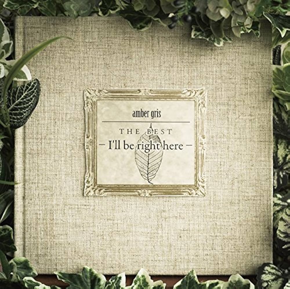 Amazon.co.jp: amber gris THE BEST - I'll be right here -: ミュージック