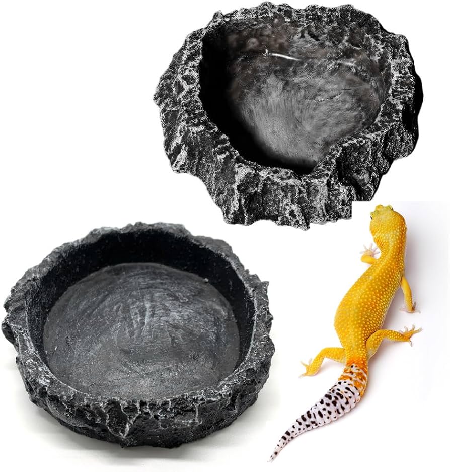 Amazon | CHANGJIQ 爬虫類 水入れ 餌入れ 2個入 水飲み皿 自然の岩