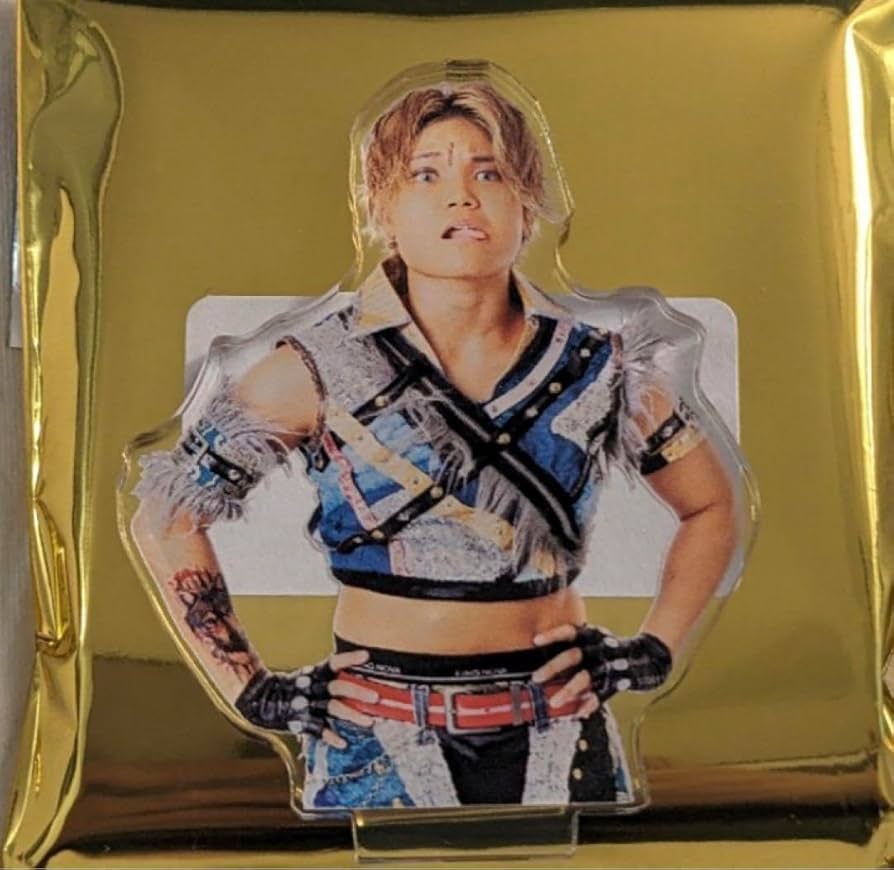 女子プロレス マリーゴールド アクスタ 松井珠紗 CHIAKI ダーレボ 女子