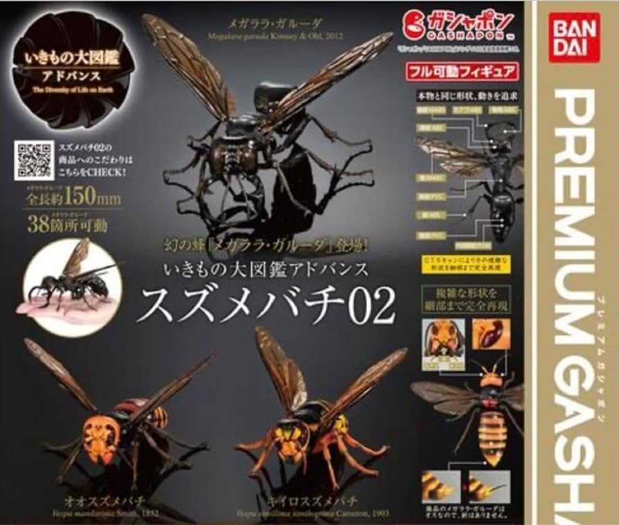 Amazon.co.jp: いきもの大図鑑アドバンス スズメバチ02 ガチャ 全3種