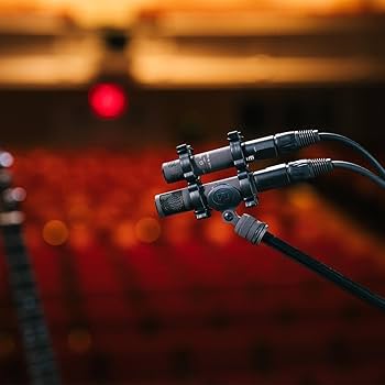 Amazon.com: Sennheiser Pro Audio MKH 8030 Figure-8 RF Condenser