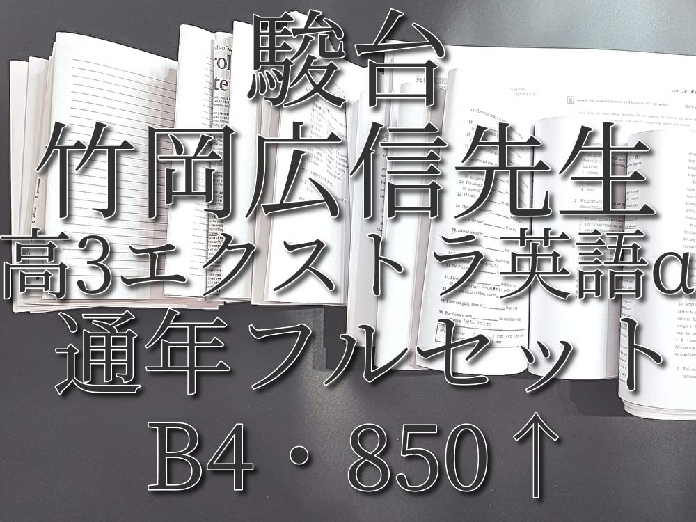 駿台の竹岡先生による語法文法研究Sプリントフルセット 英語 鉄緑会