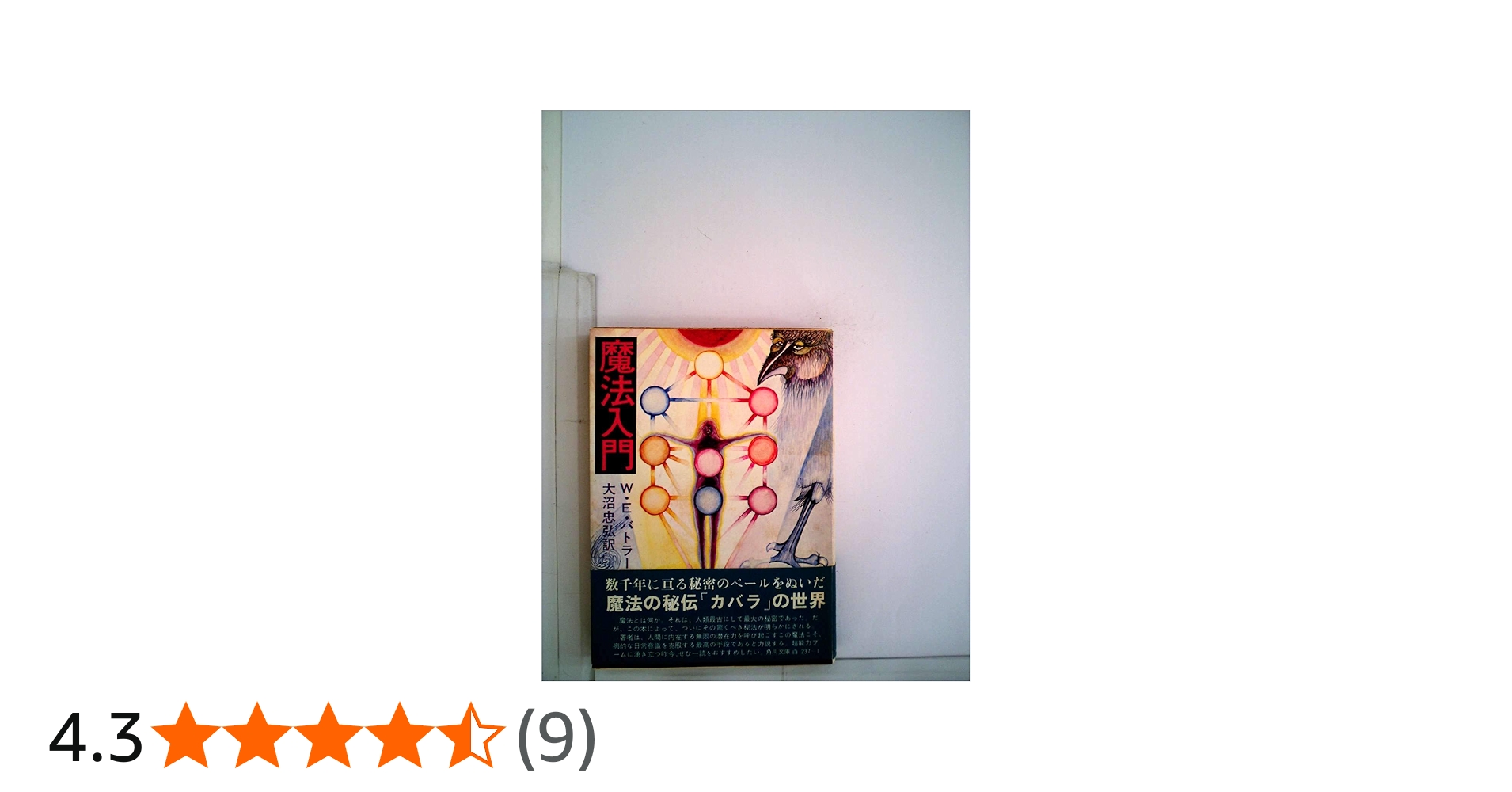 魔法入門 (1974年) (角川文庫) | W・E・バトラー, 大沼 忠弘 |本