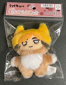 61QvrPDm4cL._AC_UF350,