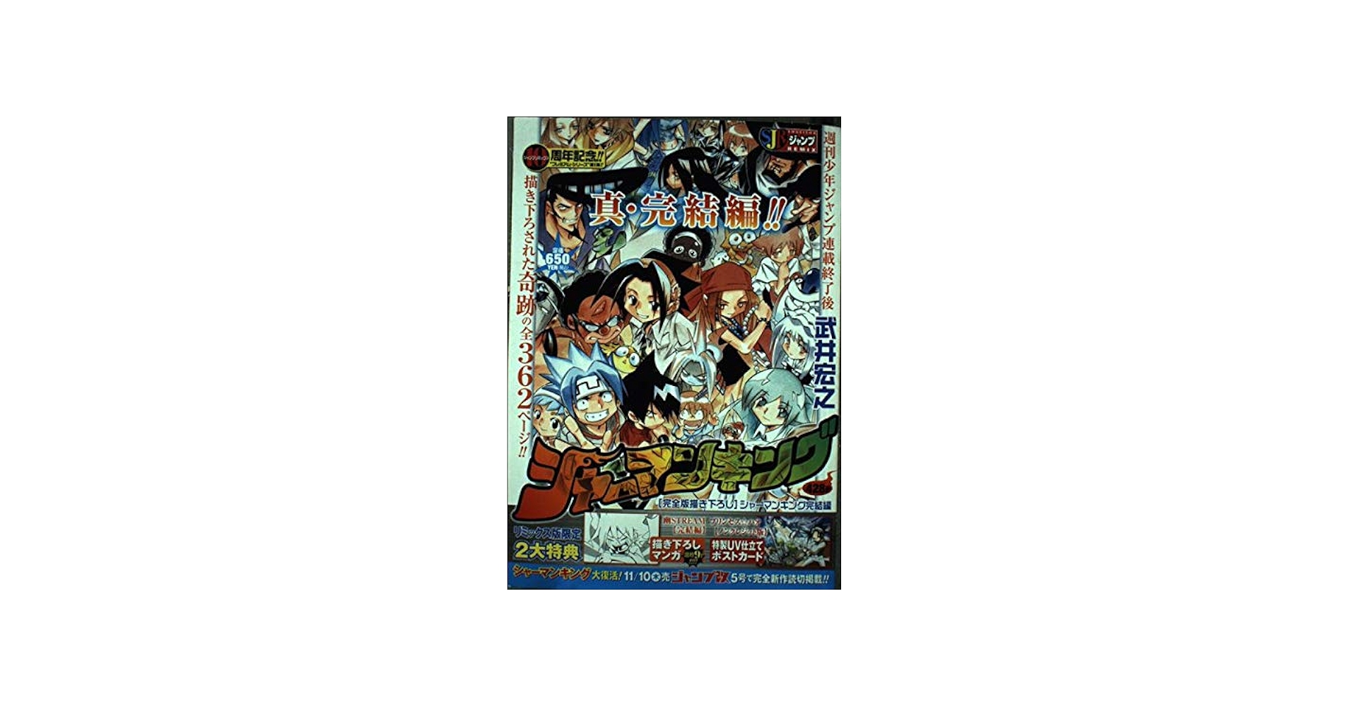 Amazon.co.jp: シャーマンキング/完全書き下ろしシャーマンキング完結