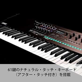 Amazon.co.jp: KORG コルグ FM シンセサイザー opsix SE オルタード FM